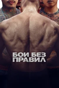  Бои без правил  2017