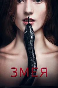  Змея  2017