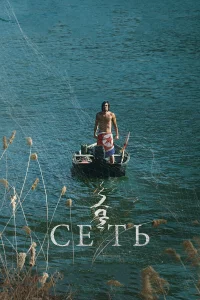  Сеть  2016