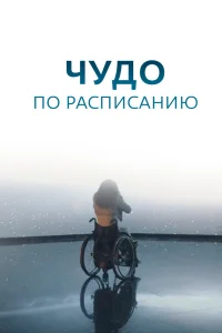  Чудо по расписанию  2016